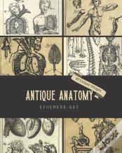 Antique Anatomy Ephemera Art