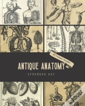 Capa do artigo Antique Anatomy Ephemera Art