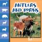 Antlers And Horns - Preview