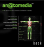 An@Tomedia: Back - Preview