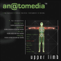 An@Tomedia - Preview