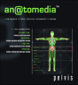 An@Tomedia: Pelvis - Preview