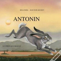 Capa do artigo Antonin