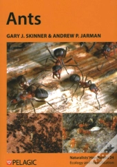 Ants