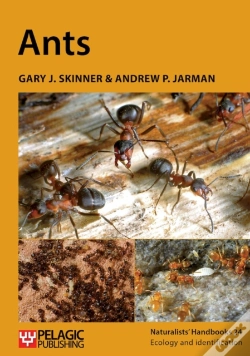 Capa do artigo Ants