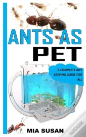 Ants As Pet