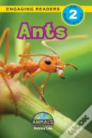 Ants