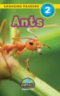 Ants - Preview