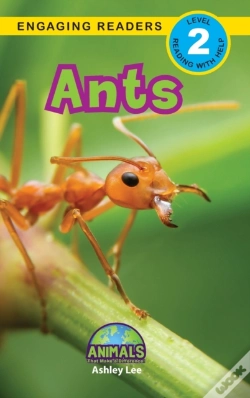 Capa do artigo Ants