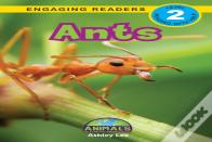 Ants