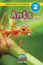 Ants - Preview