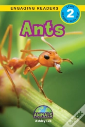 Capa do artigo Ants