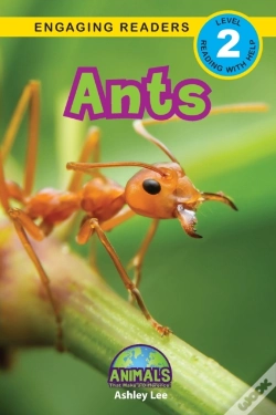 Capa do artigo Ants