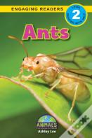 Ants
