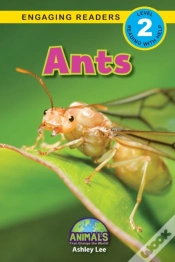 Capa do artigo Ants