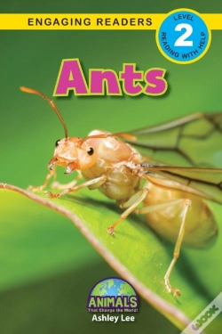 Capa do artigo Ants