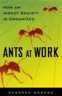 Ants At Work - Preview