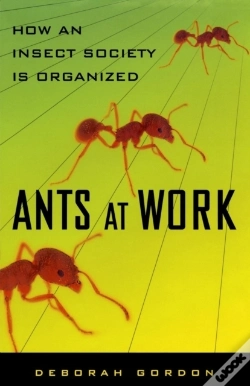 Capa do artigo Ants At Work