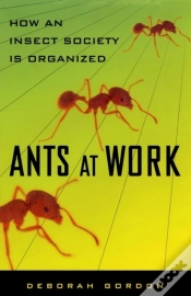 Capa do artigo Ants At Work