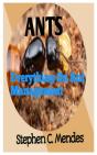 Ants - Preview