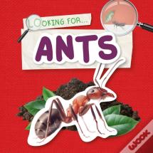 Ants