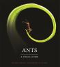 Ants - Preview
