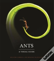 Capa do artigo Ants