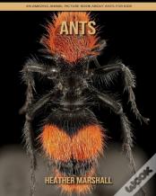 Ants
