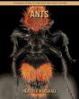Ants - Preview