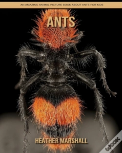 Capa do artigo Ants