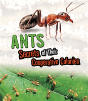 Ants - Preview