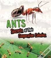 Capa do artigo Ants