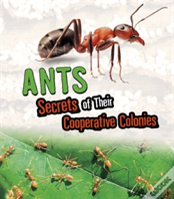 Capa do artigo Ants