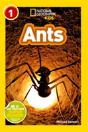 Ants - Preview