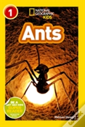 Capa do artigo Ants
