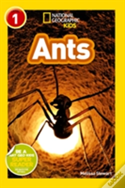 Capa do artigo Ants