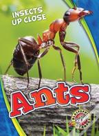 Ants