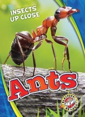 Capa do artigo Ants