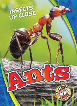 Capa do artigo Ants