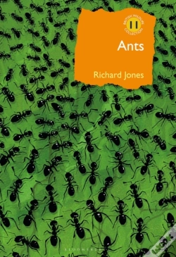 Capa do artigo Ants