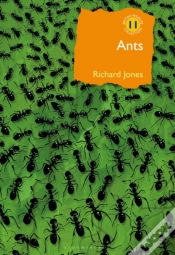 Capa do artigo Ants