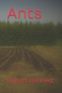 Ants - Preview