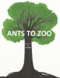 Ants To Zoo - Preview