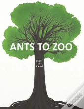 Ants To Zoo