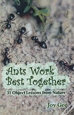 Capa do artigo Ants Work Best Together