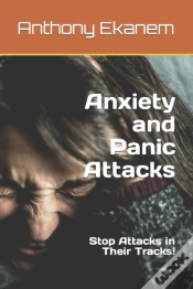 Capa do artigo Anxiety And Panic Attacks