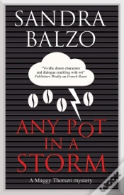 Capa do artigo Any Pot In A Storm