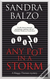 Capa do artigo Any Pot In A Storm