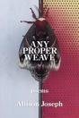 Any Proper Weave - Preview
