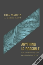 Capa do artigo Anything Is Possible